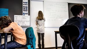 Københavns Professionshøjskole: Lærermangel skal løses med lokale uddannelser