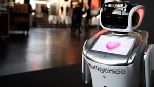 IT-eksperter: Fremtidens robotter snakker gebrokkent dansk