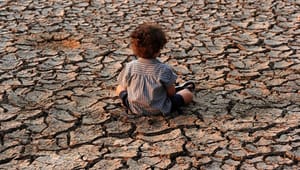 Partier og ngo angriber regeringen: Millioner til klimapulje tages fra verdens fattigste