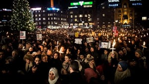 Menneskerettighederne blev fejret på dansk manér: med en diskussion om flygtninge