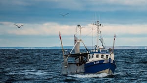 DPPO: Forhastet lovændring bremser generationsskifte i fiskeriet