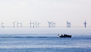 Dansk Energi: Grænsebomme for strøm skader grøn omstilling