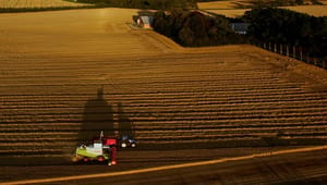 L&F: Dansk landbrugsjord kan blive en magnet for udenlandske rigmænd 