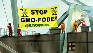 Etik-forskere: Kunstig intelligens må ikke ende som GMO