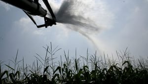 Bæredygtigt Landbrug: Nej, der udledes ikke mere kvælstof efter landbrugspakken