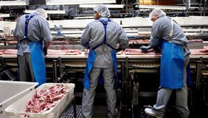 Danish Crown: Vores kød skal være klimaneutralt i 2050