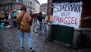 Fl. Chr. Nielsen: Sjælsmarks beboere er ofre for magtens sproglige tyranni