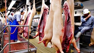 Carl Valentin: Det er på tide, at politikerne tager kødproblemet alvorligt