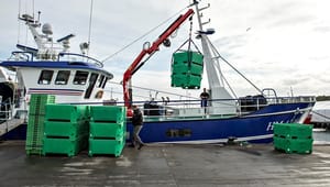 Fiskeriet: Forhastet politisk aftale er åbenlyst skadelig for sektoren