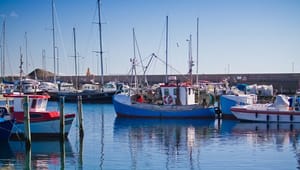 Dansk Akvakultur dumper havstrategien: "Dagtagrundlaget er mangelfuldt og utilstrækkeligt"