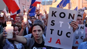 Amnesty International: Hammeren skal falde for Ungarn og Polen 