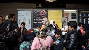 Udlændingestyrelsen: Derfor kan visse syriske flygtninge sendes hjem