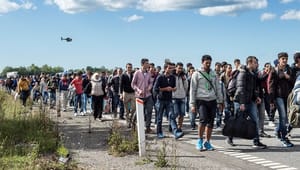 Anmelder: Ny debatbog om dansk flygtningehistorie er skarp og nødvendig