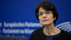 EU-kommissær: Sagsøg regering for at indeksere børnechecken