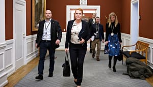 Ombudsmanden advarer Støjbergs ministerium: Pas på med at udlægge mine ord forkert