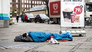 Hjemløse: Regnearkene trumfer socialfaglig viden om hjemløshed