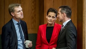 Ny alliance i dansk politik? DF og SF vil danne fælles front på handicapområdet
