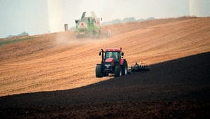 Eksperter: Sådan kan landbruget blive en del af løsningen på klimakrisen