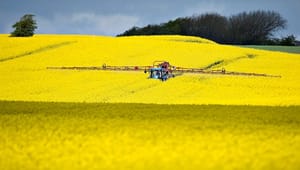 Vismænd: Klimakrav til dansk landbrug øger udledning i andre lande
