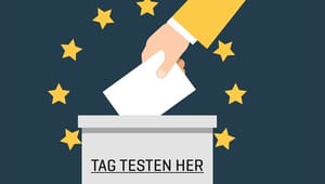 Hvem skal jeg stemme på til EU-valget: Prøv Altingets kandidattest