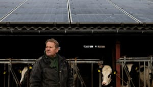 Jørgen er landmand på Samsø: Jeg bliver glad, når jeg ser møllen dreje