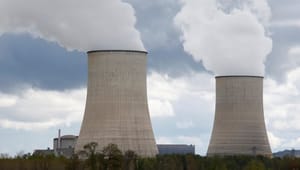 Det Økologiske Råd: Atomkraft-debatten er måske farligere end affaldet