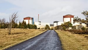REO: Bekymringen for atomkraft er ude af proportioner
