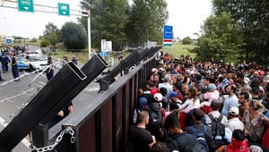 Vilby om Europas paradoks: Vi får ikke børn nok, og vi vil ikke have indvandring