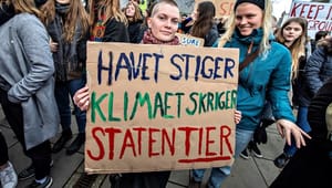 Tekniq til politikerne: Fortæl danskerne, hvad I vil med den grønne omstilling