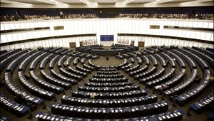 Magt, valg og alliancer: Fem hurtige om EU-valget
