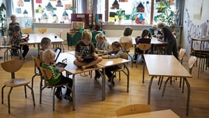 Læringsdirektør: Danmarks digitale førerposition skal sikres i folkeskolen