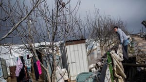 Ny FN-rapport: Aldrig har så mange mennesker været på flugt fra deres hjem