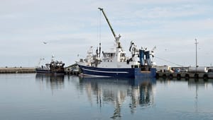 EU truer med at tilbageholde millionstøtte til danske fiskere