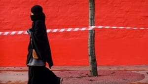 Professor om det multikulturelle samfund: ”Man kan faktisk bære burka og være en ret patriotisk dansker"