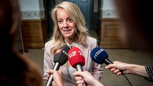 Vermund bliver fædrelandsordfører: Sådan fordeler Nye Borgerlige ordførerskaber