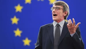 Østeuropa forbigået: Italiener bliver formand for Europa-Parlamentet 
