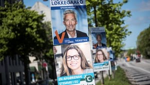 Organisationer om nye EP-udvalgsposter: Danmark er meget bedre dækket denne gang
