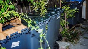 Dansk Erhverv og Netto: Kommunernes affaldshåndtering skal ensartes 