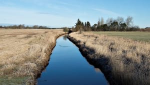 L&F: Vandplanerne bliver miljøministerens vigtigste opgave