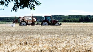 Lone Andersen: Sprøjteforbud vil ramme landmænd, der passer på naturen