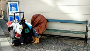 Hjemløseforening: Boligministeren må bekæmpe hjemløshed med samarbejde