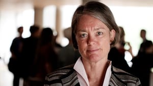Marianne Thyrring: Vi kan lære af det offentlige samarbejde i Grønland
