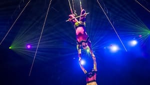 Artistforbund: Sæt cirkus på den kulturpolitiske dagsorden igen 