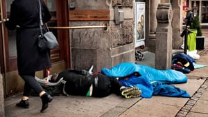 Antropolog: Absurde arbejdsprøvninger presser ældre hjemløse ud over kanten