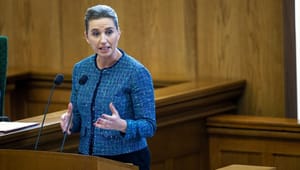 Lisbeth Knudsen: Frederiksens nærhedsreform kræver mod til at slippe kontrollen og et opgør med milimeter-retfærdighed