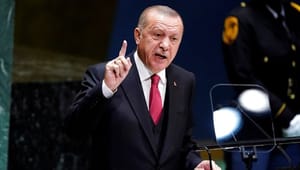 SF: Erdogan-regimet underminerer demokratiet