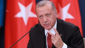 Tyrkisk offensiv i Syrien: Enhedslisten vil sende fredsbevarende styrker