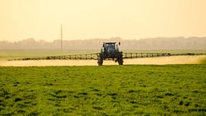 Blå bekymring for udrulningen af pesticid-indsats: Det er en stor opgave for kommunerne