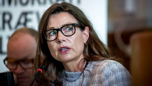Pernille Weiss: DF byder på kaloriefattig og populistisk skyggeboksning i EU
