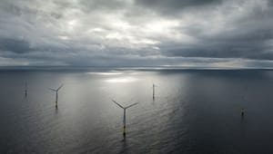 Wind Denmark: Konkurrencemodel varsler ny epoke for havvind i Danmark